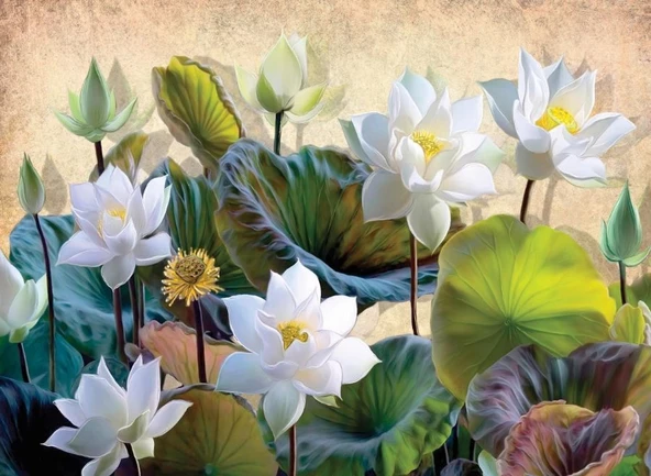 Nova Puzzle 1000 Parça Beyaz Nilüfer Çiçekleri Puzzle ürün görseli 1