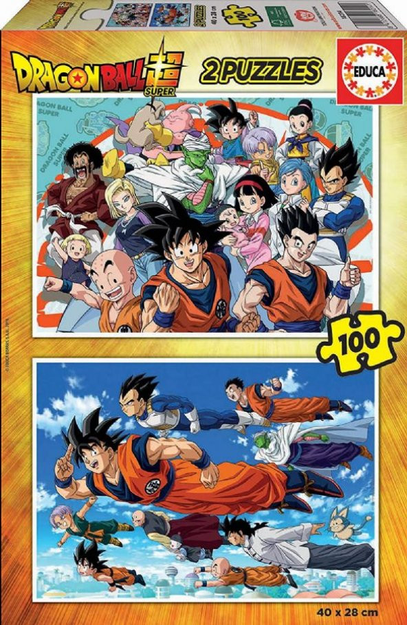 Educa 2x100 Parça Dragon Ball Z Erkek Çocuk Puzzle ürün görseli 1