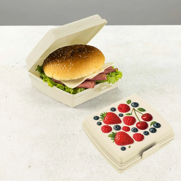 Çift Bölmeli Beslenme Kabı - Resim 4