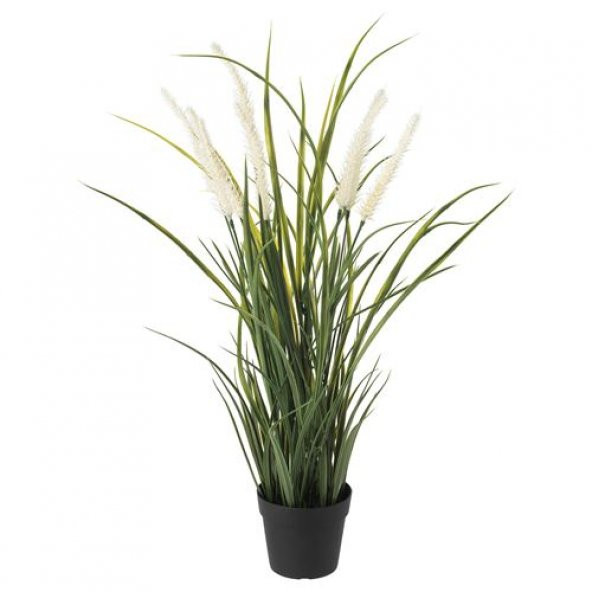 Yapay Çiçek Çim-Beyaz Uçlu IKEA 9 Cm Yapay Bitki Ev Dekorasyon ürün görseli 1