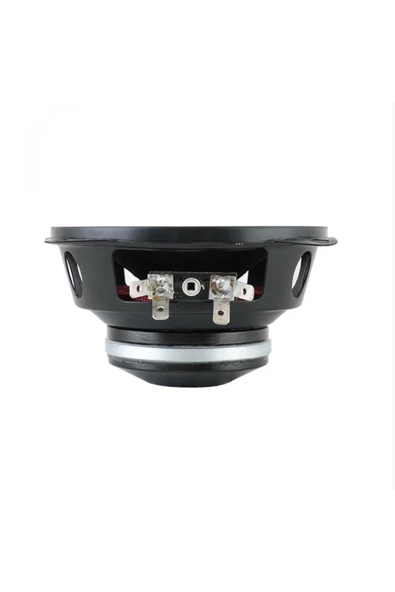 REISS AUDIO RS-M4NX 10 CM MİDRANGE - Resim 2