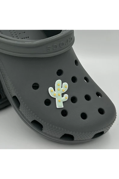 Crocs Terlik Süsü ve Aksesuarı , Çanta Süsü – Jibbitz Kaktüs Görsel Figür Aksesuar ürün görseli 1