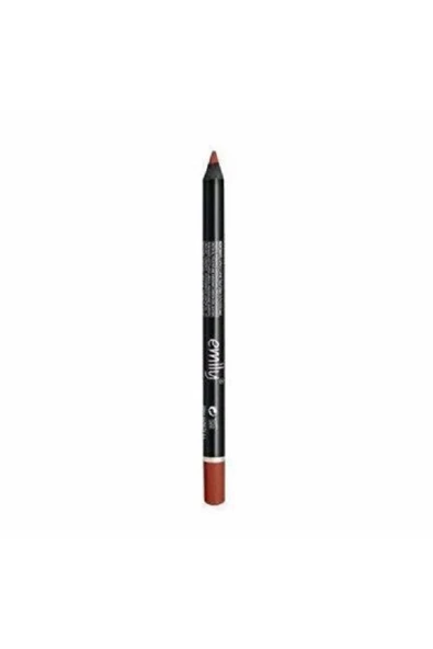 Long Lasting Lip Pencil Dudak Kalemi No: 208 ürün görseli 1