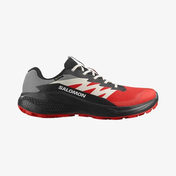 Salomon L47975200 Alphaglide Gore-Tex Erkek Koşu Ayakkabısı ürün görseli 1