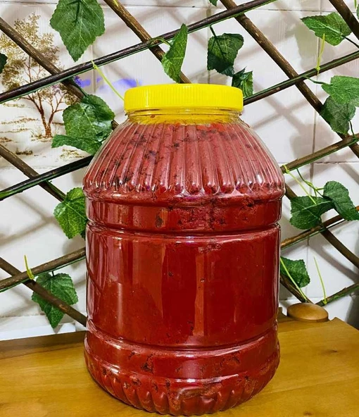 ORGANİK DOMATES SALÇASI ürün görseli 1