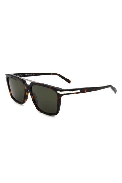Salvatore Ferragamo SF 1037S C240 ERKEK GÜNEŞ GÖZL ürün görseli 1