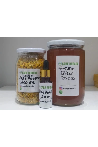 Doğal Arı Poleni 200gr+doğal Çiçek Balı 850gr+ Propolis ürün görseli 1