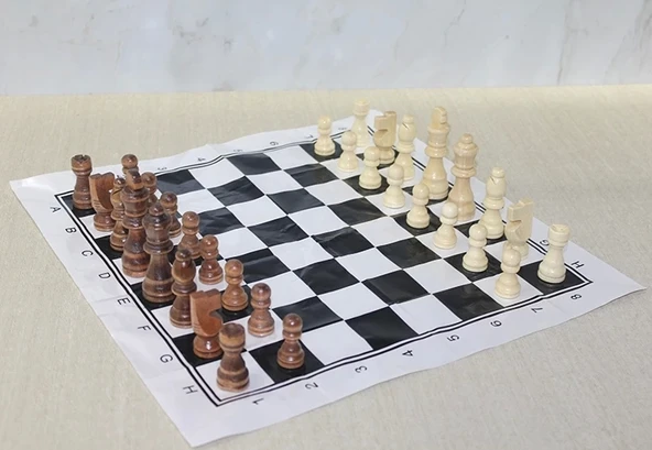 Ahşap Satranç Taşı 10 Cm Alk4017 ürün görseli 1
