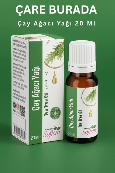 Çay Ağacı Yağı 20 Ml - Resim 2