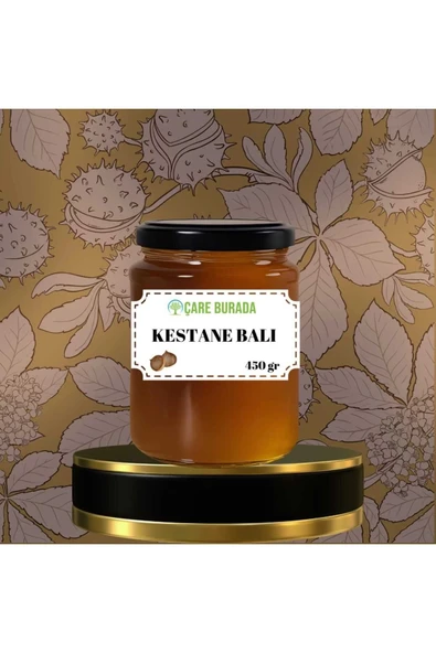 Kestane Balı Zonguldak Bölgesi 450 gr ürün görseli 1
