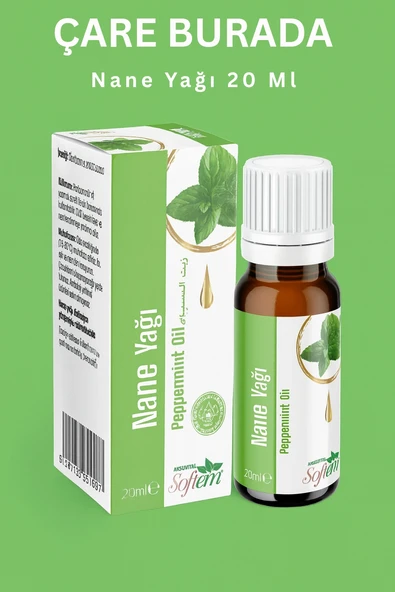 Nane Yağı 20 Ml - Resim 2