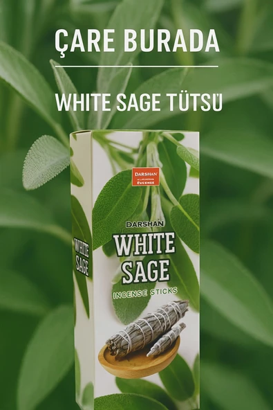 Darshan Incense - White Sage 20'li Çubuk Tütsü ürün görseli 1