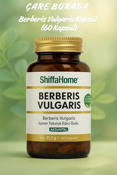 Berberis Vulgaris Kapsül (60 Kapsül) ürün görseli 1