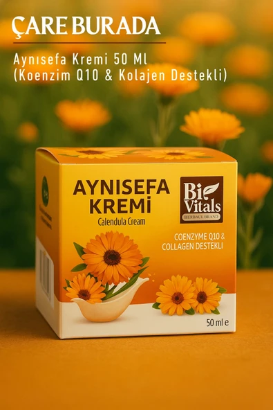 Biovitals - Aynısefa Kremi 50 Ml (Koenzim Q10 & Kolajen Destekli) ürün görseli 1