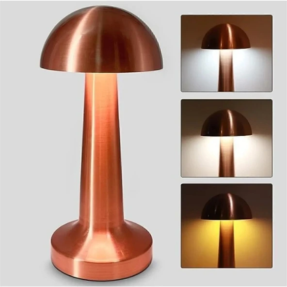 Cata CT-8430 Lizbon Sarjli Masa Lambası 3 Farklı Renk Moduna Dokunmatik Geçiş Cata Dimmerli Rose Gold ürün görseli 1