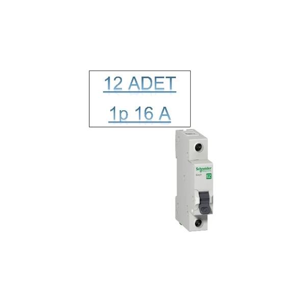 Schneider 12 Adet 16AMPER Schneider Otomatik Sigorta C Tipi ürün görseli 1