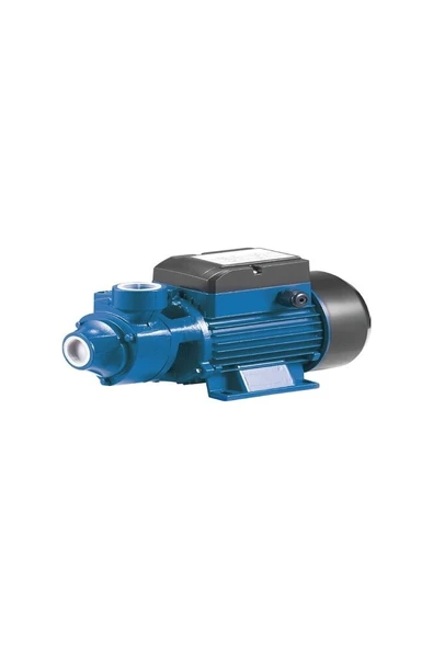 RAINPUMP QB70-0,7HP Santrifuj Pompa ürün görseli 1