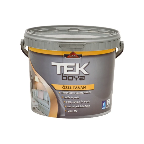 TEK PLASTİK ÖZEL TAVAN BOYASI 10 KG BEYAZ ürün görseli 1