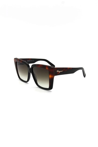Salvatore Ferragamo SF 1060S 006 KADIN GÜNEŞ GÖZLÜ ürün görseli 1