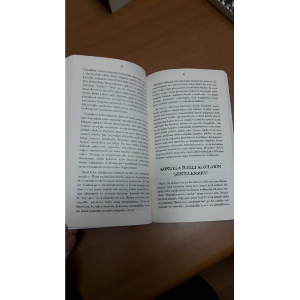 Algı Gerçektir - Resim 5