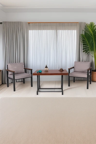 NEOKAS Bahce Mobilyası, 1+1+Masa, Modern Balkon Mobilyası, Kafe Oturma Takımı, Teras Koltugu, ürün görseli 1
