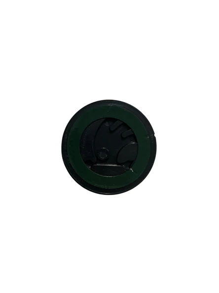 SKODA FAVORİT ARKA AMBLEM - Resim 2