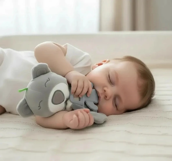 Babyjem Diş Kaşıyıcılı Uykucu Ayıcık 680 Gri ürün görseli 1