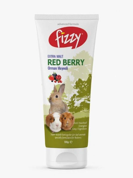 Fizzy Kemirgen Red Berry Paste 100gr ürün görseli 1