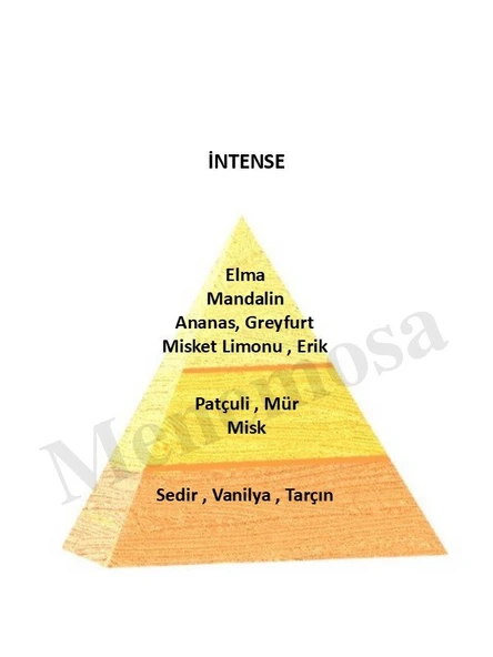 Intense + Intense Unisex Parfüm Oriental Edp  - Mnmsint2 - Resim 2