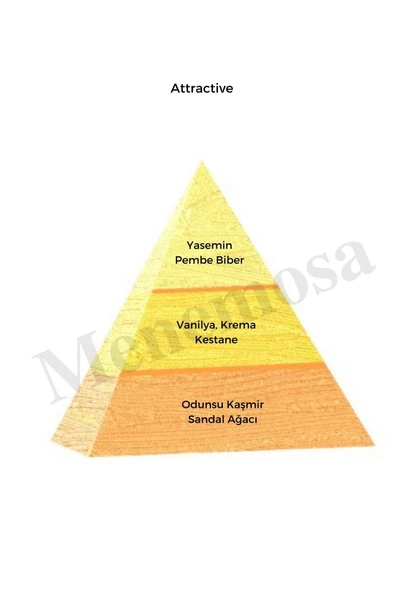 Attractive + Attractive  Kadın Parfüm Edp Oriental  - Mnmsatv2 - Resim 2