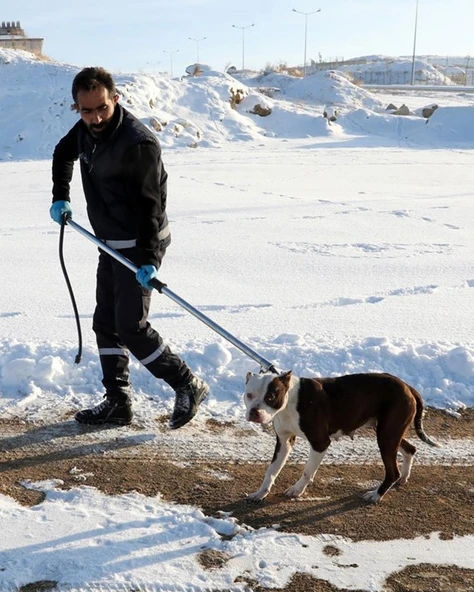 Köpek Yakalama Aleti 150 cm ürün görseli 1