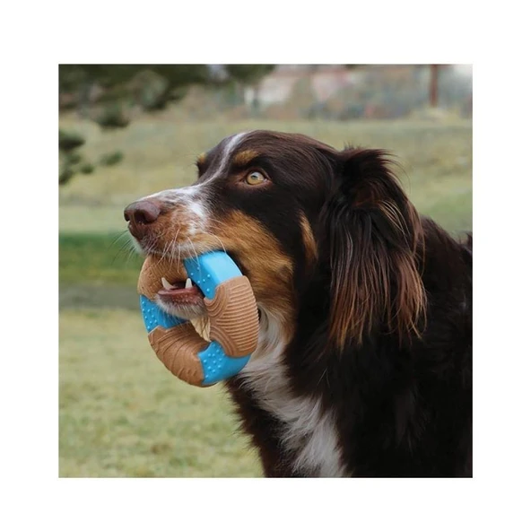 Kong Core Strength Halka Şeklinde Köpek Oyuncağı S - Resim 3