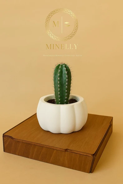 Minelly Pumpkin Touch Saksı - Resim 4