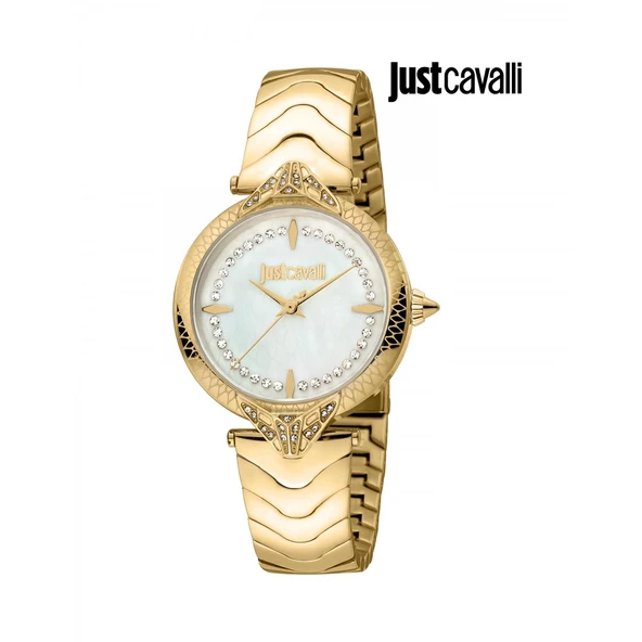 Just Cavalli JC1L238M0065 Kadın Kol Saati ürün görseli 1