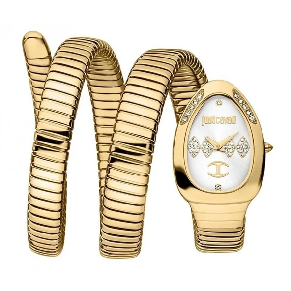 Just Cavalli JC1L230M0035 Kadın Kol Saati ürün görseli 1