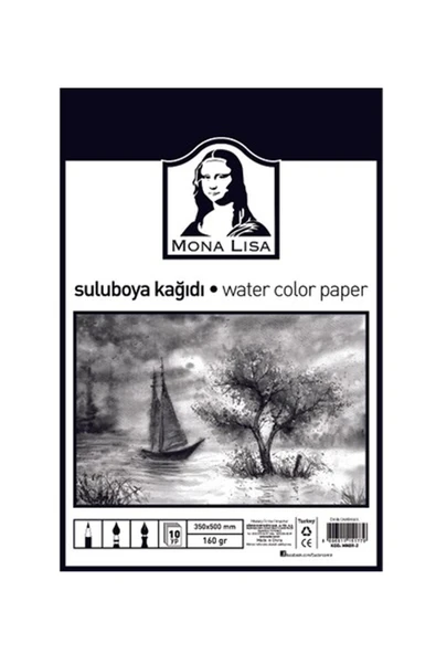 Südor Suluboya Kağıdı 35X50 160G 10 Yaprak ürün görseli 1