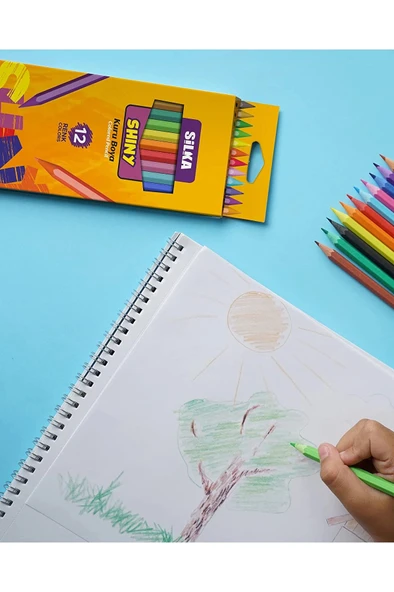 Silka Kuru Boya Shıny Tam Boy 12 Li ürün görseli 1