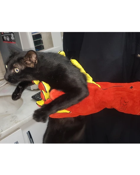 Kedi Yakalama Eldiveni 40 cm ürün görseli 1