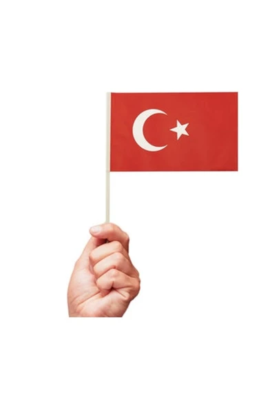 Battal Çıtalı Bayrak Ay Yıldız 40'lı ürün görseli 1