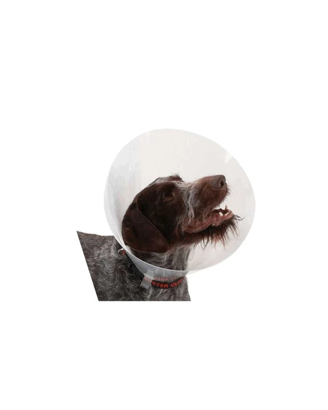 Buster Elizabeth Köpek Yakalığı. Transparan. 20 cm ürün görseli 1