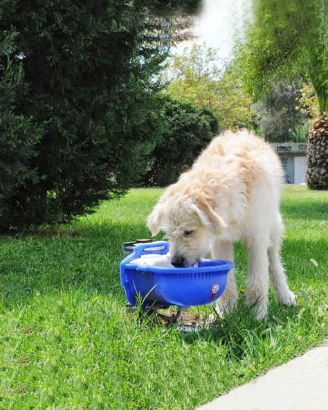 Otomatik Köpek Suluğu 4 Litre ürün görseli 1