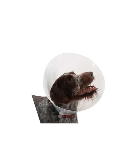 Buster Elizabeth Köpek Yakalığı. Transparan. 40 cm ürün görseli 1