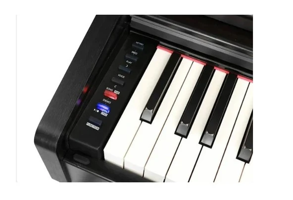 Medeli DP260BK Dijital Piyano (Siyah) - Resim 3