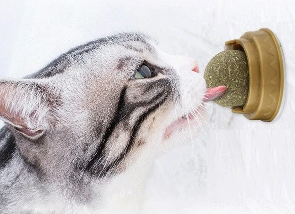 Kedi Otu Oyun Topu - Resim 2