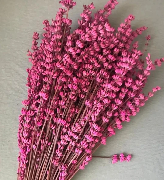 Kuru Çiçek Fuşya Lavanta Şoklanmış 40-50 cm ürün görseli 1