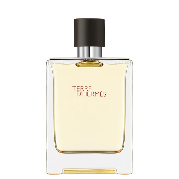 Hermes Terre D'Hermes EDT 100 ml Erkek Parfüm ürün görseli 1