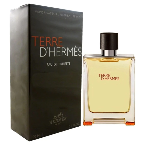 Hermes Terre De Hermes Classıc Home 100 ml ürün görseli 1