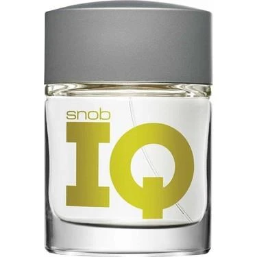 Iq Edt Erkek Parfüm 100ml ürün görseli 1
