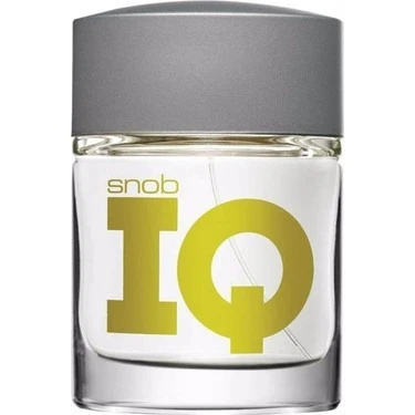 Edt Men Iq 100 ml Parfüm SNTDNY1047386 ürün görseli 1