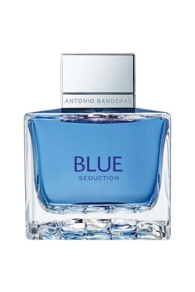 Blue Seduction Edt Erkek Parfüm 100 ml ürün görseli 1